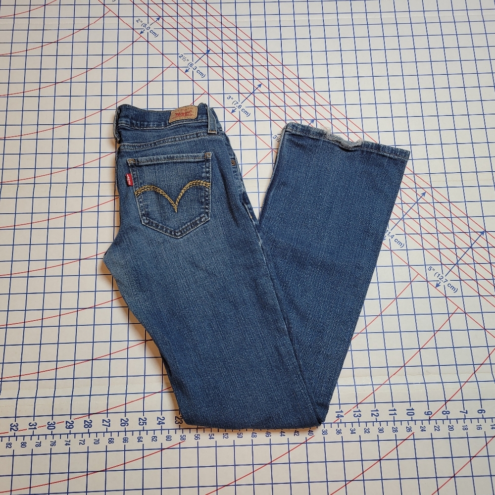 Levi's Blue Denim Jeans